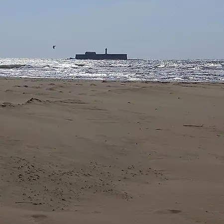 Les Jardins Du Cap, Piscine, Parking, 50m 公寓